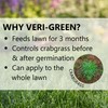 Jonathan Green (16001) Veri-Green Crabgrass Preventer Plus Fertilizer - 20-0-3