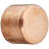 Elkhart Products 30634 Copper Cap Polybag, 1-1/4", 1.25"