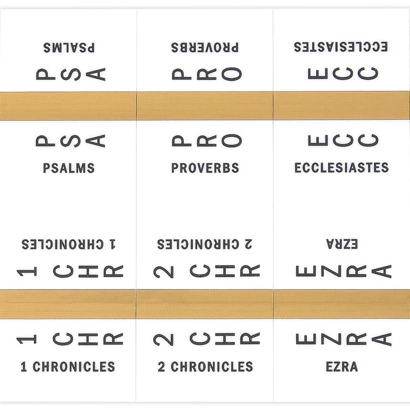 Salt & Light, Large Vertical Bible Tabs, Gold, 72 Tabs