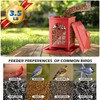 Birdream Bird Feeders for Outdoors Hanging, Classic Courtyard Design Fun