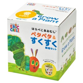 Seishin Pottery Year-round Home Garden Easy Cultivation Kit Mini Sunflower Flower Growing Set (Independent Research) Pot Diameter Approx. 4.3 inches (11 cm) The Very Hungry Caterpillar Sticky