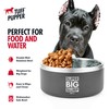 Tuff Pupper 188 oz Heavy Duty Insulated Bowl for Large