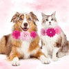 Hoteam 50 Pcs Dog Flower Collar Dog Collar Bows Pet