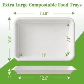 ECOLipak 100 Pack 14 Inch Disposable Food Trays Crawfish Trays, Compostable Large Paper Plates, Disposable trays for Serving Food, BBQ, Seafood Boil Party Supplies, Thanksgiving, Christmas