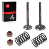 Intake Exhaust Valve Seal Spring Kit For Club Car Golf