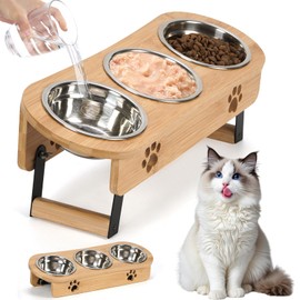 CILXGQLN Elevated Cat Bowls, 2 Height Raised Cat Food Bowl for Cats Small, Tilted Elevated Bowl Raised Pet Bowl with 3 Stainless Steel Bowls