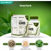 Smart Herb Paquete Focus GMB, Suplemento Alimenticio, 2 piezas (30