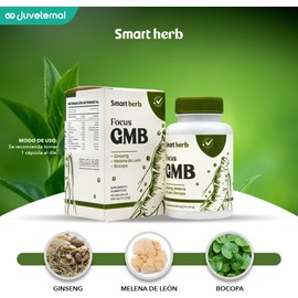 Smart Herb Paquete Focus GMB, Suplemento Alimenticio, 2 piezas (30 Cápsulas c/u) con Ginseng, Melena de León y Bocopa para Concentración, Memoria y Rendimiento Mental