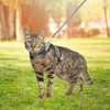 PUPTECK Cat Harness and Leash Set Escape Proof, Reflective Adjustable