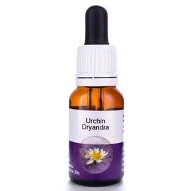 Living Essences Urchin Dryandra 15ml