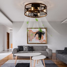 BANLICALI 18" Caged Ceiling Fan with Light Flush Mount, Modern Farmhouse Fandelier with Timer & Remote Control, 3-Speed, Ceiling Fan Light Fixture for Kitchen Bedroom Office Dark Brown 110V E26*4