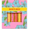 Burt's Bees Lip Balm Gift Set, Beeswax, Strawberry, Tropical Pineapple,
