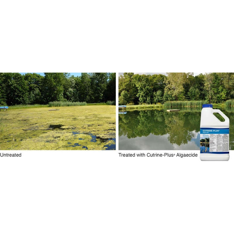 Cutrine-Plus Liquid Algaecide - 1 Gallon EPA-Approved Copper Formula for