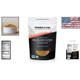 Organic Lion's Mane Mushroom Powder 4:1 Extract - 5.5 Ounces -  Wellness