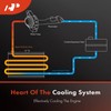 A-Premium Upper Radiator Coolant Hose Compatible with Land Rover Range