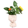 Face Flower Pot Head Planter Pot Cute Resin Succulent Planter