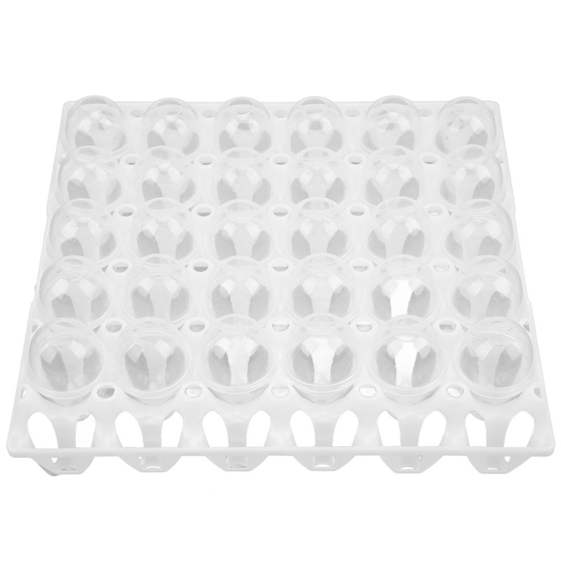 Eggshell and Egg Tray Model Safe Prevent Leakage Eggs Making