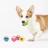 Vibrant Life Playful Buddy Dog Toys, Emoticon, Extra Small, 5