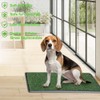 NINXANG Reusable Training Pad Potty with 2-Pack Replaceable Artificial Grass