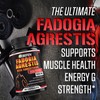 Fadogia Agrestis Extract with Turkestanica for Men 9000mg - 3