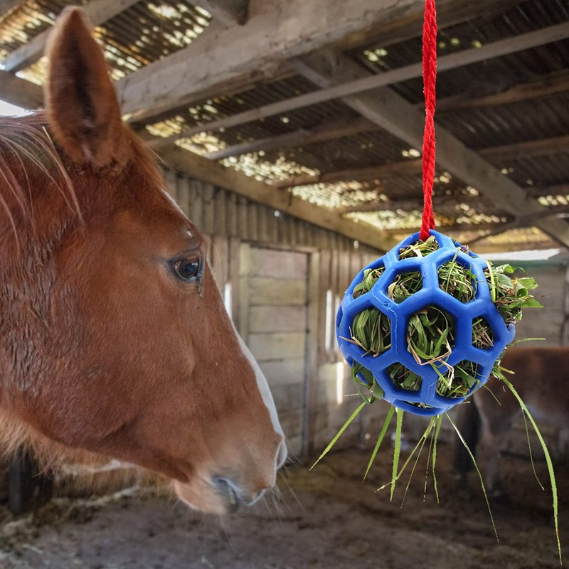 Besimple Hay Ball for Horses, Goats, Sheep, Stress Relief, Pack