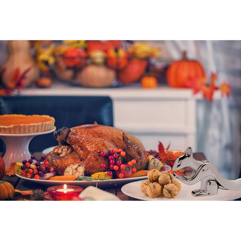 HIC Kitchen The Squirrel Nutcracker, Heavyweight Aluminum