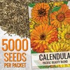 Seed Needs Calendula Seeds Pacific Beauty Mix | 5,000+ Seeds