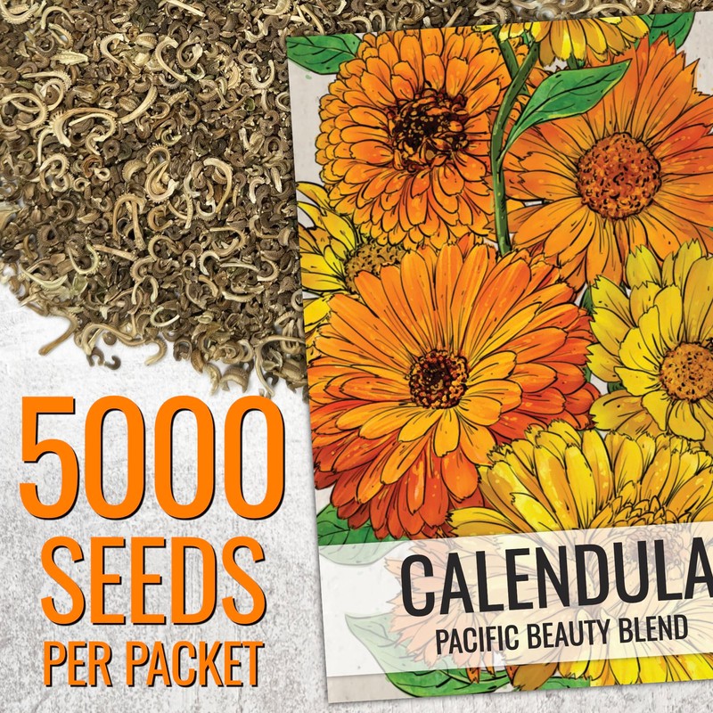 Seed Needs Calendula Seeds Pacific Beauty Mix | 5,000+ Seeds