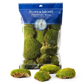 SuperMoss Topa Moss Preserved Eco-Friendly Home & Wall Décor for Terrariums, Wedding Tables, Indoor Planters & More, 200 cu in (Appx. 8oz), Fresh Green