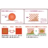 Tokyo Suburban Map Ultra Fine Fiber, Glasses Wipe, Toray Recay,