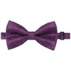 Alizeal Mens Party Paisley Pre-tied Bow Tie, Pocket Square and