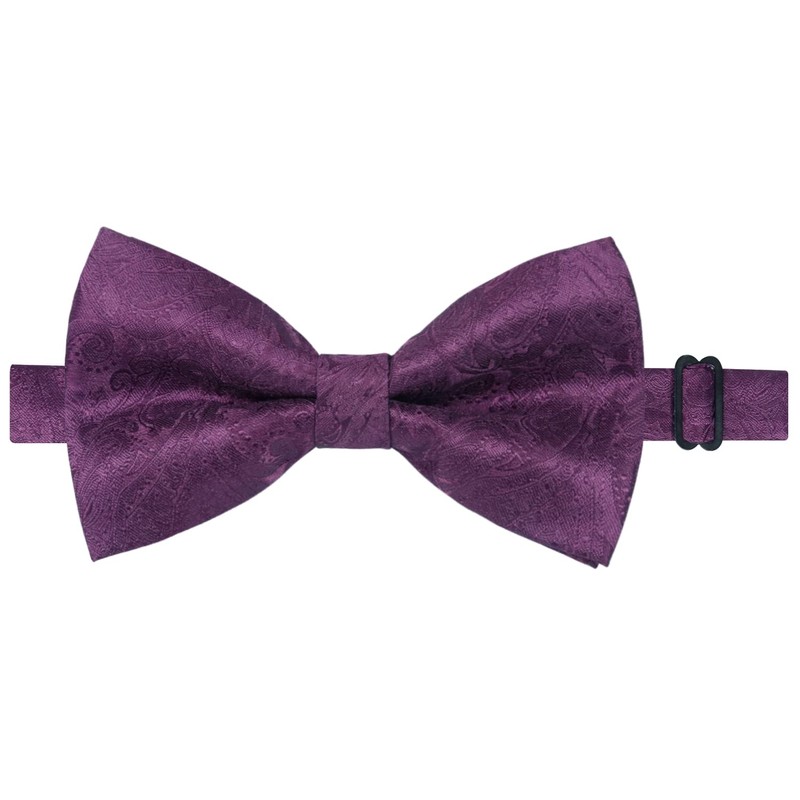 Alizeal Mens Party Paisley Pre-tied Bow Tie, Pocket Square and