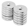 12 Pcs Neodymium Magnet 30x5mm Heavy Duty Strong Magnetism Round
