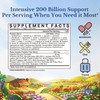 Vitalitown Probiotics 200 Billion CFUs 36 Strains | Shelf Stable,