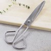 Ribbon J Mudita all-stainless steel kitchen scissors 21cm / meat