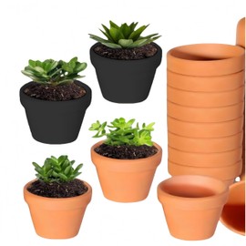 Clay Pots Small Pack of 8 - Shockproof Mini Flower Pots (45 x 40 mm) in Black & Terracotta | BPA-Free, Ideal for Succulents, Herbs & DIY Projects in Home, Office or Balcony | Includes Drainage Holes