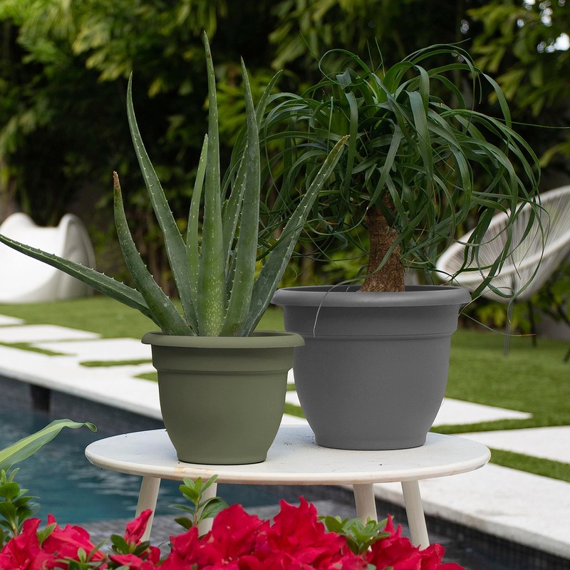 Bloem 20-56406 Fiskars Ariana Planter with Self-Watering Grid, 6", Thyme