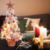 24 Inch Tabletop Mini Christmas Tree Set with Led Lights,