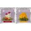 Teabloom Té De Flores Florecientes: Granada Y Piña. Cada Flor