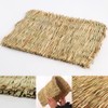 Grass mat for rabbits, small animal grass mats, rabbit grass