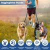 Jogging Lead Dogs, Reflective Belly Strap, Dog Lead for 2