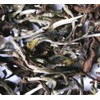 Shedouble Tea Darjeeling Second Flash Puttabong Delight PUTTABONG SFTGFOP1 (CL) DELIGHT Second Flush 1.1 oz (30 g)