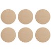 6 PCS Champagne Felt Coasters, 10cm Round Felt Coasters, Heat