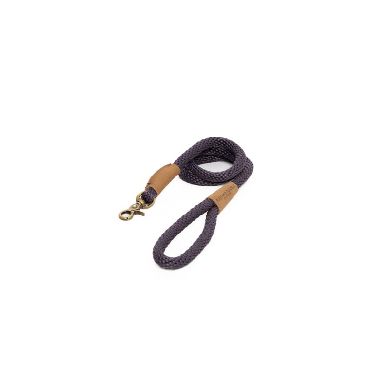 Blackberry Slim Clip Dog Lead