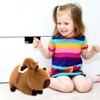 Capybara Plush Toy, 30CM Capybara Plushie Throw Pillow Stuffed Animal