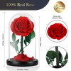 MAMAMIKO Forever Real Rose in a Glass Dome,Eternal Red Roses
