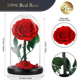 MAMAMIKO Forever Real Rose in a Glass Dome,Eternal Red Roses Flowers Preserved for 5 Years,Rose Gifts for Her Woman Wife Girlfriend on Birthday, Anniversary, Valentine's Day, Mother's Day, Christmas