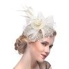 DRESHOW Fascinator Hat for Women, Pillbox Hat with Veil, Headband