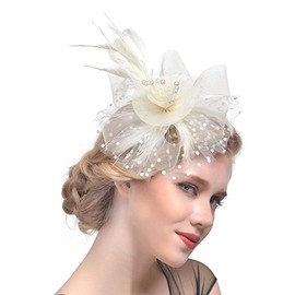 DRESHOW Fascinator Hat for Women, Pillbox Hat with Veil, Headband and a Forked Clip, Tea Party Headpiece
