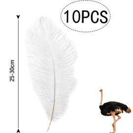 DFsucces Feather Ostrich Decorative Pure White Feathers Jewelry Crafts Hair Accessories Wedding Birthday Party Decoration Stage Stage Costume Material Feather Ornaments 9.8 - 11.8 inches (25 - 30 cm) 10 Pieces